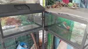 Fish Tanks With Items