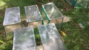 Fish Tanks With Items
