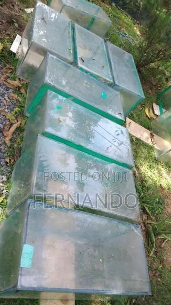 Fish Tanks With Items