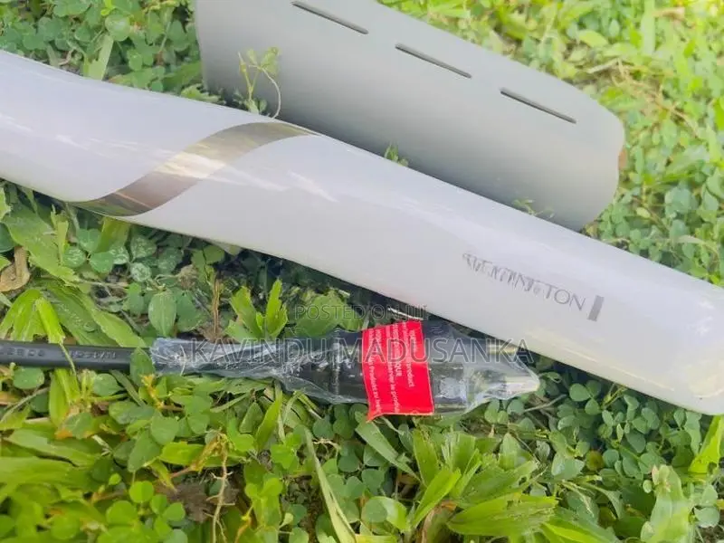 Remington Hair Straightener
