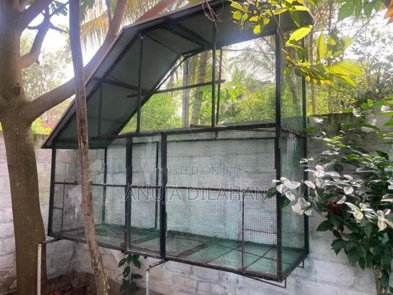 Bird Cage