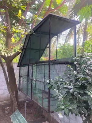 Bird Cage