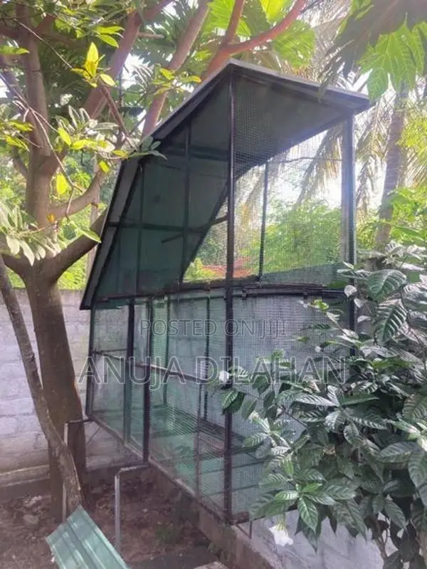 Bird Cage