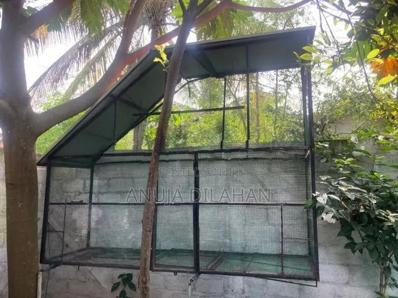 Bird Cage