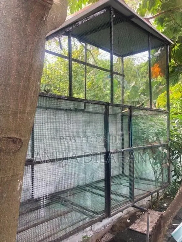 Bird Cage