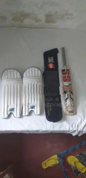 Cricket Set