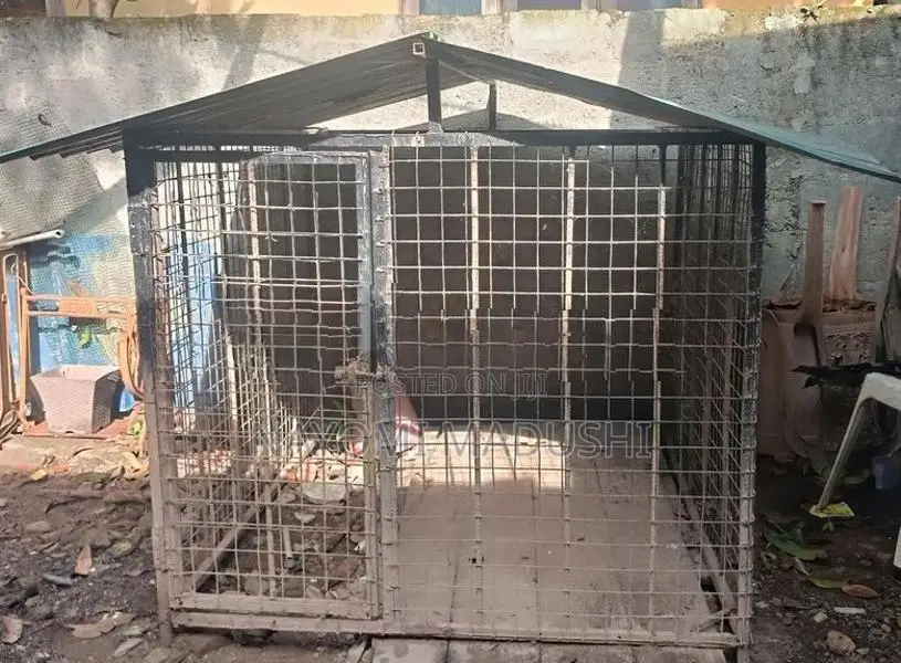 Dog Cennel Large size(German Shepherd Cannel)