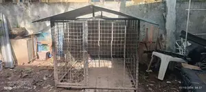 Dog Cennel Large size(German Shepherd Cannel)
