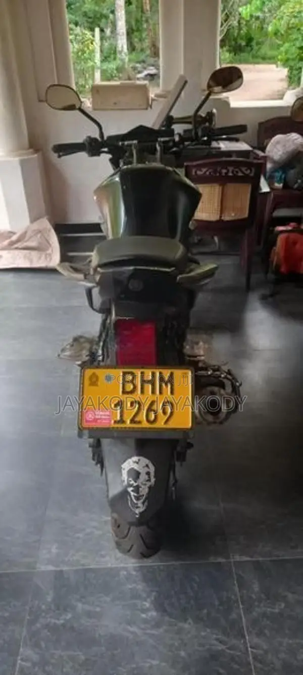 Yamaha FZs V2 2019