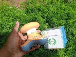 Xinaya Electrical Massager
