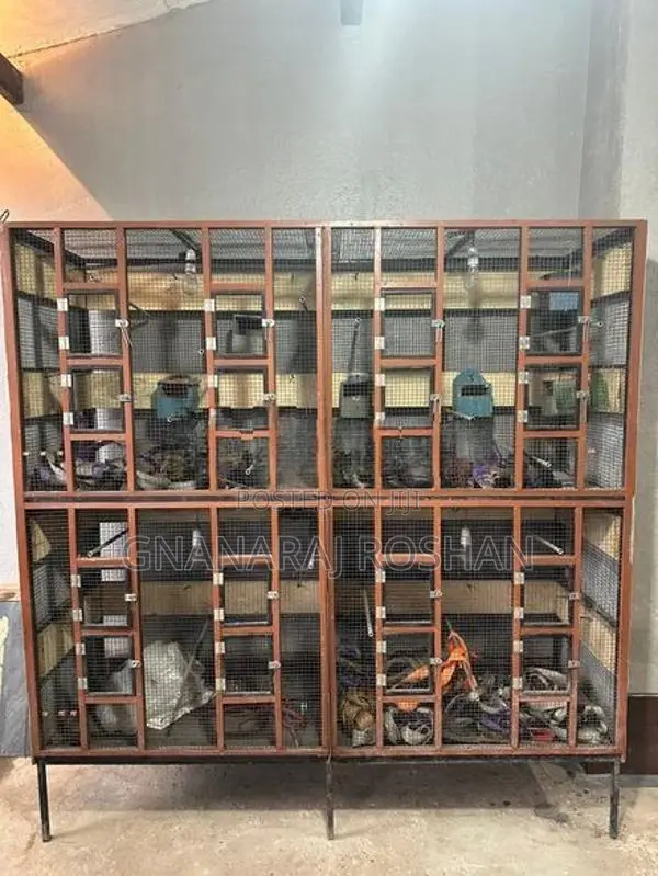 Bird Cages