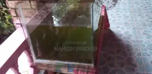 මළු ටැංකියක් - Fish Tank