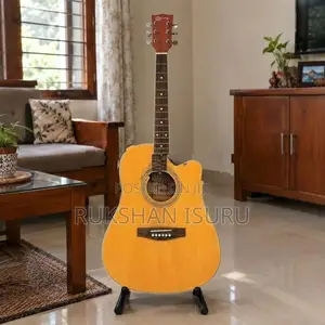 Spring Large Box Guitar