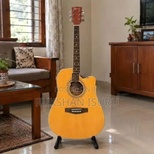Spring Large Box Guitar