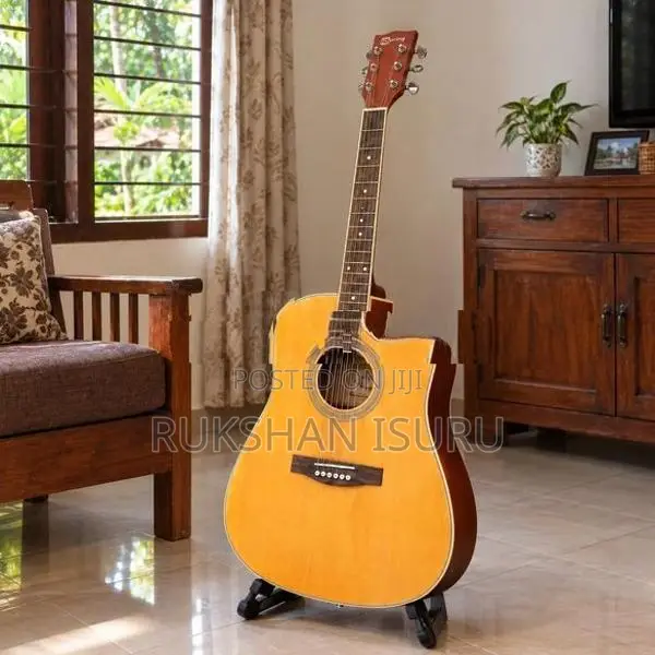 Spring Large Box Guitar