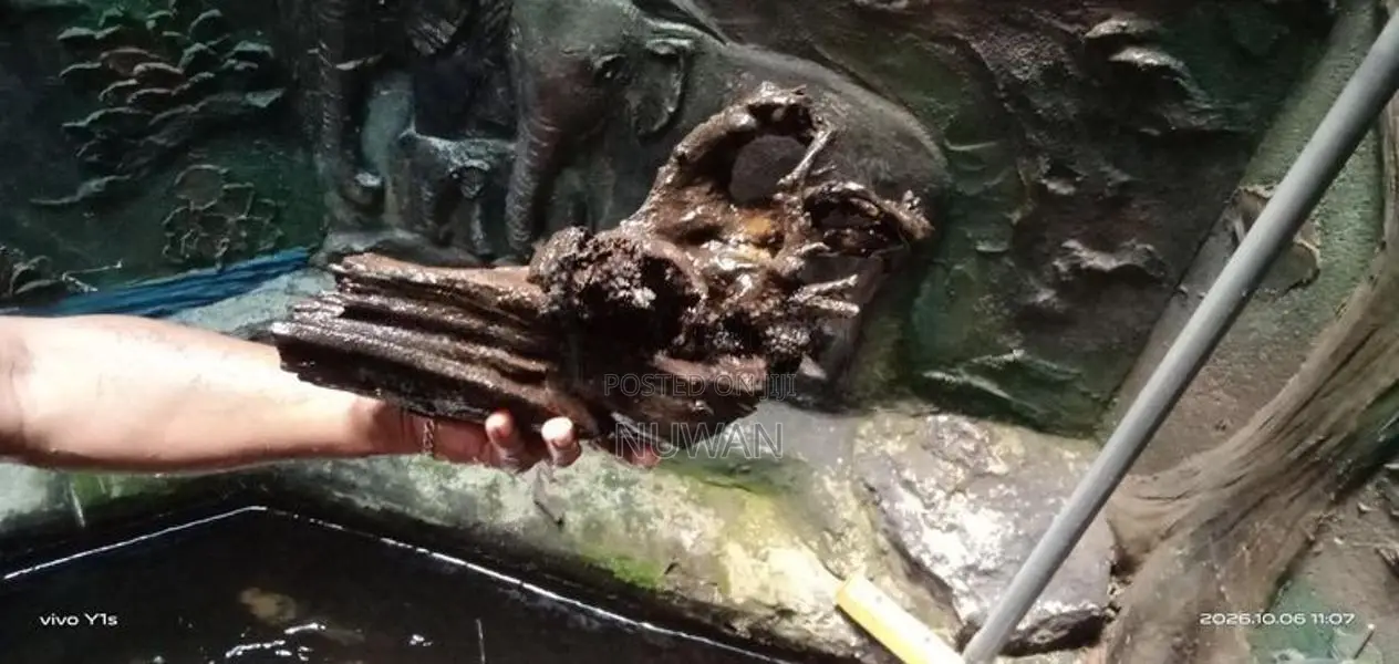 Fish Tank Drift Wood