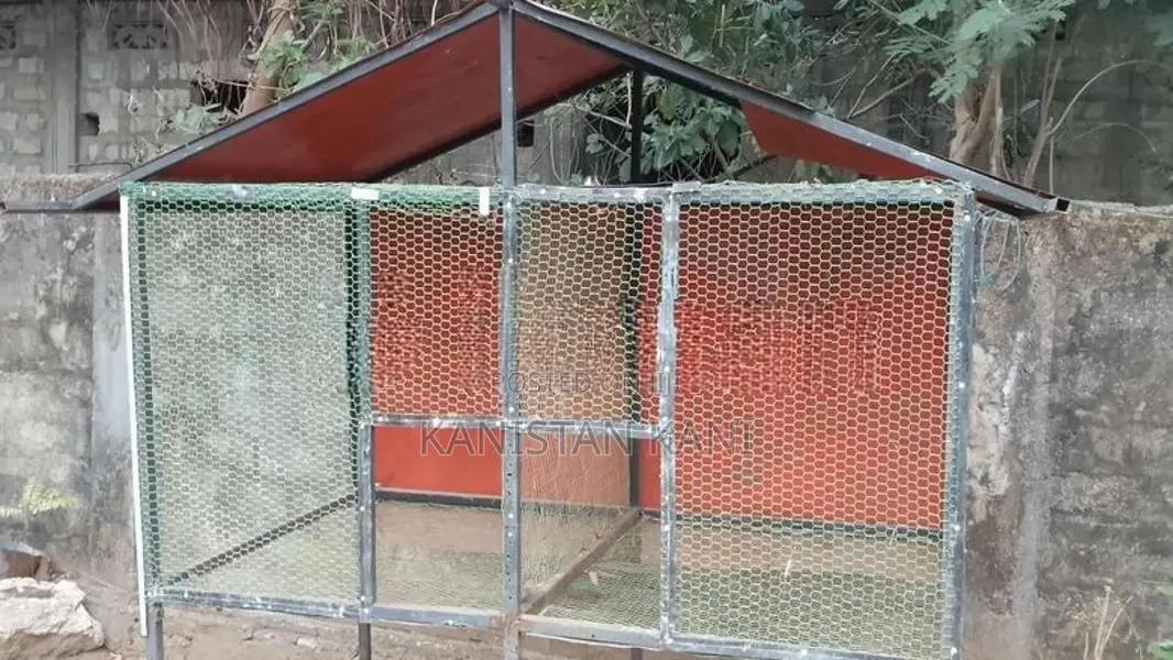 Bird Cage