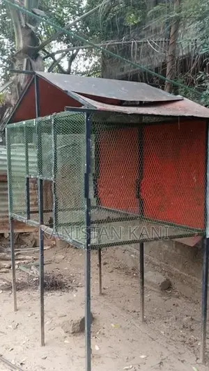 Bird Cage