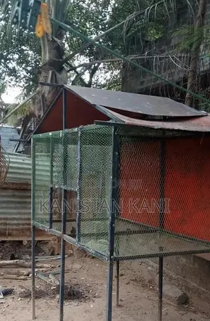 Bird Cage