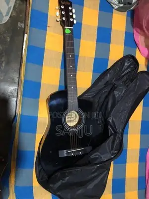 Guitar