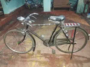 Raleigh Bicycle
