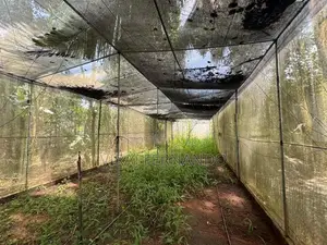 Green House