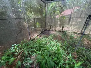 Green House