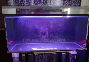 Fish Tank