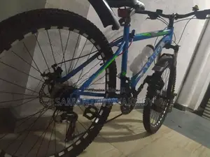 Mountain Bike