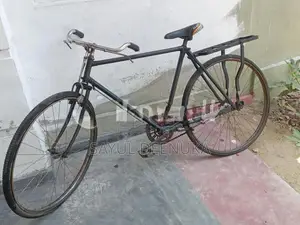 Standard Bicycles
