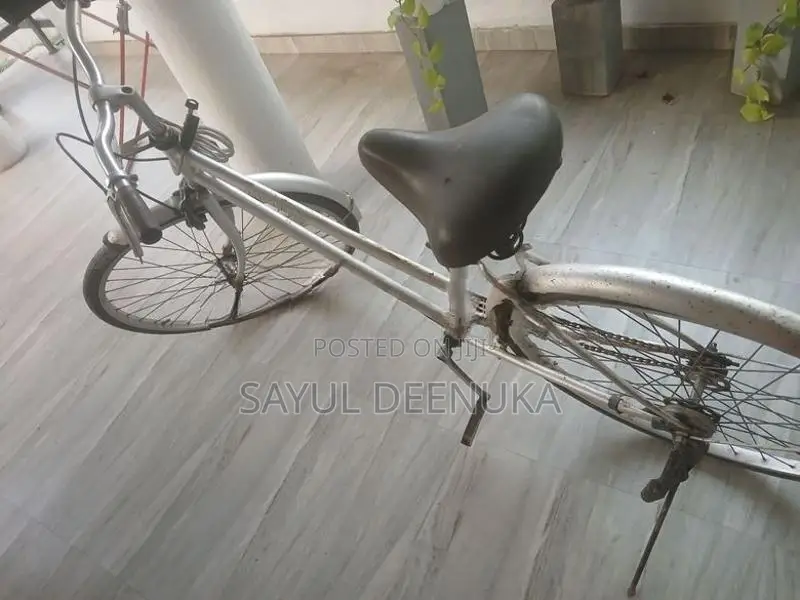 Standard Bicycles