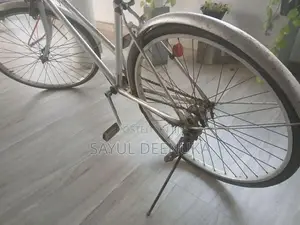 Standard Bicycles
