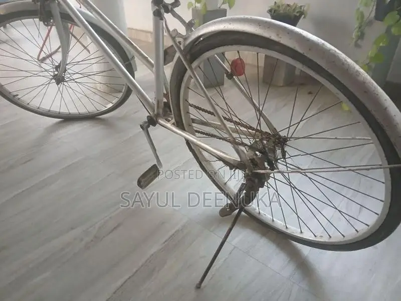 Standard Bicycles