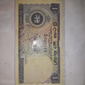 Old Ceylon With Foreign Coins