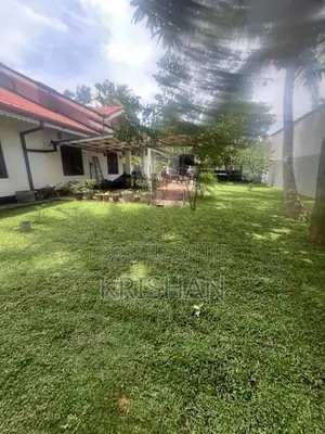 Malaysian Grass
