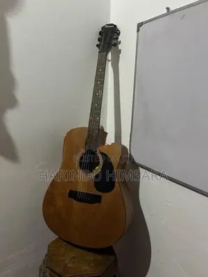 Thomso Acoustic Guitar