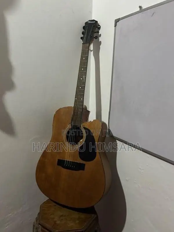 Thomso Acoustic Guitar
