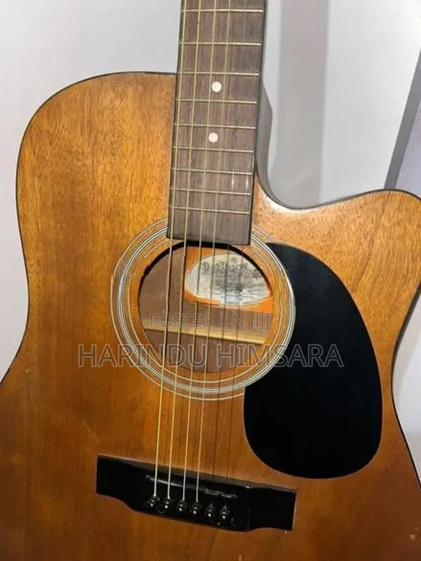 Thomso Acoustic Guitar