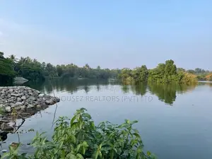 Lakeside Land for Sale – Waikkala in Puttalam