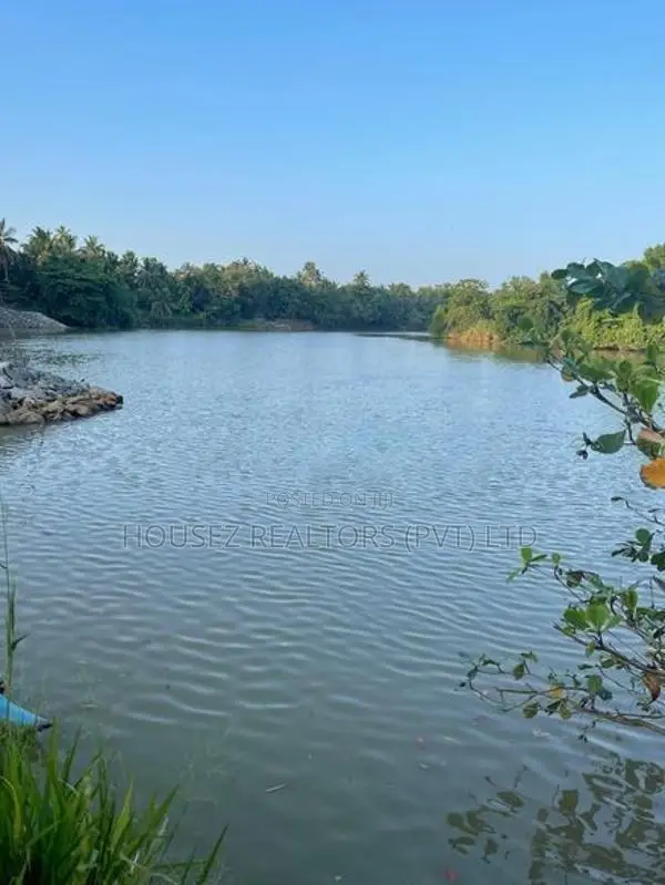 Lakeside Land for Sale – Waikkala in Puttalam