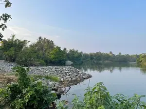 Lakeside Land for Sale – Waikkala in Puttalam