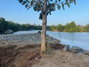 Lakeside Land for Sale – Waikkala in Puttalam