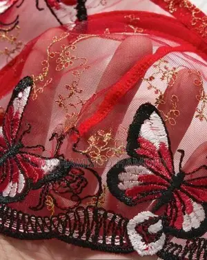 Ladies Bra With Panties