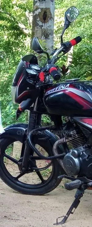 Bajaj Platina 100 2013