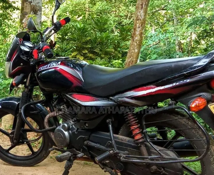 Bajaj Platina 100 2013