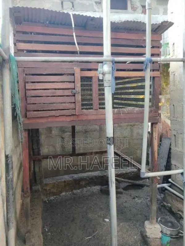 Chicken Coop