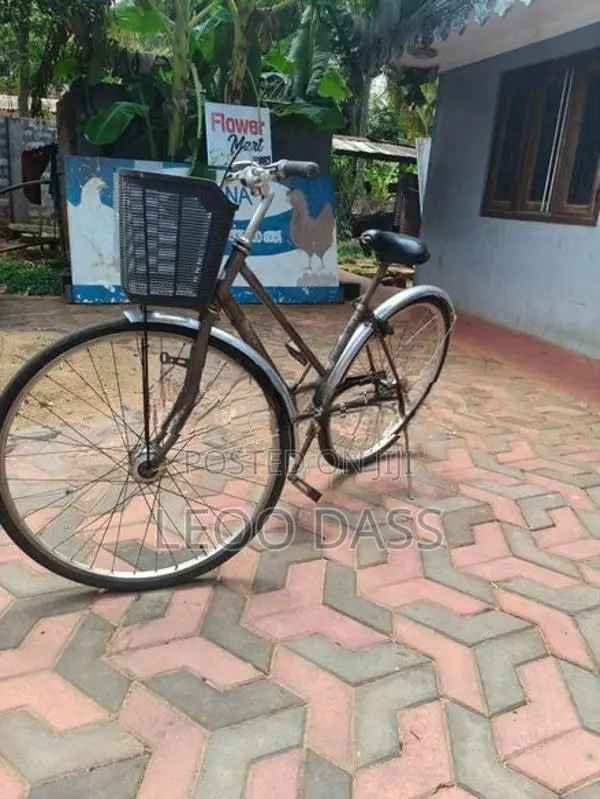 Japan Cycle