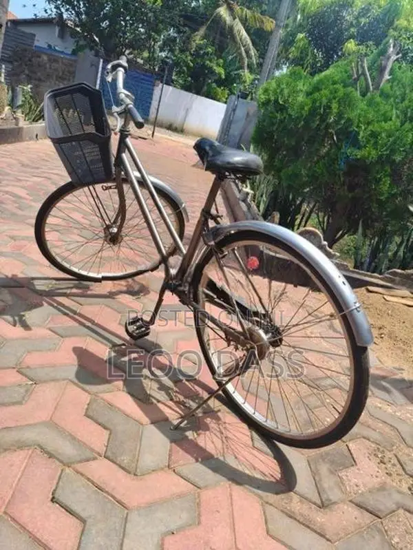 Japan Cycle