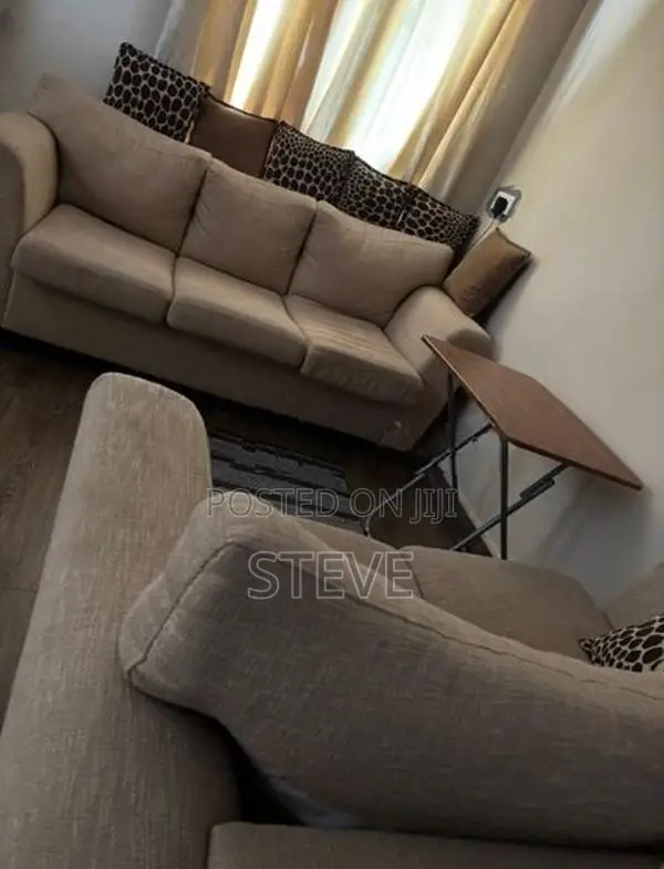 Alpha Used Sofa