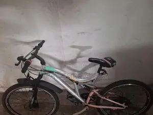 Tomahawk Mountain Bicycle